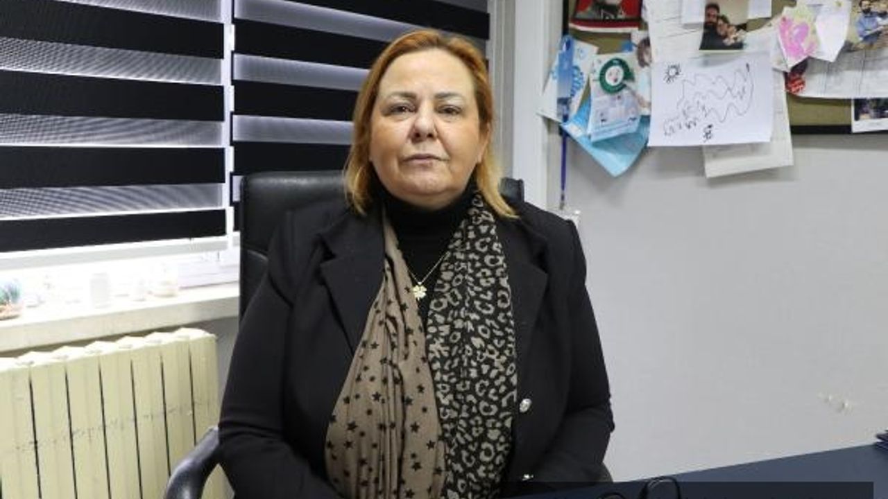 'Sonsuz kimyasallar, böbrek ve testis kanserinin gelişimini teşvik ediyor'