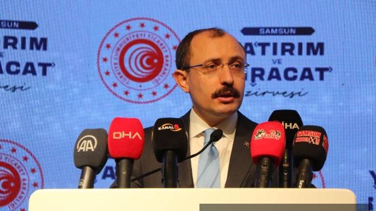 Bakan Muş: 100 milyar dolar hedefimiz, Türkiye'nin cari açığına katkı sağlayacak