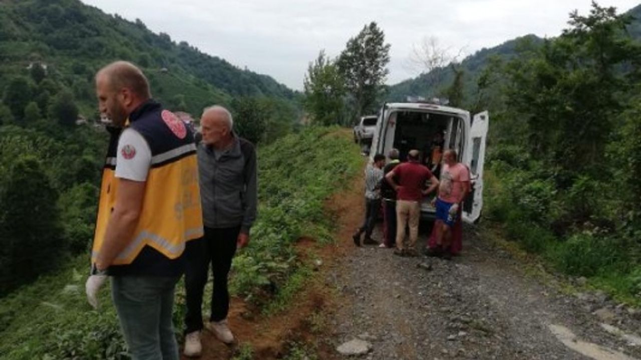 Çay bahçesine yuvarlanan kamyonetin sürücüsü yaralandı