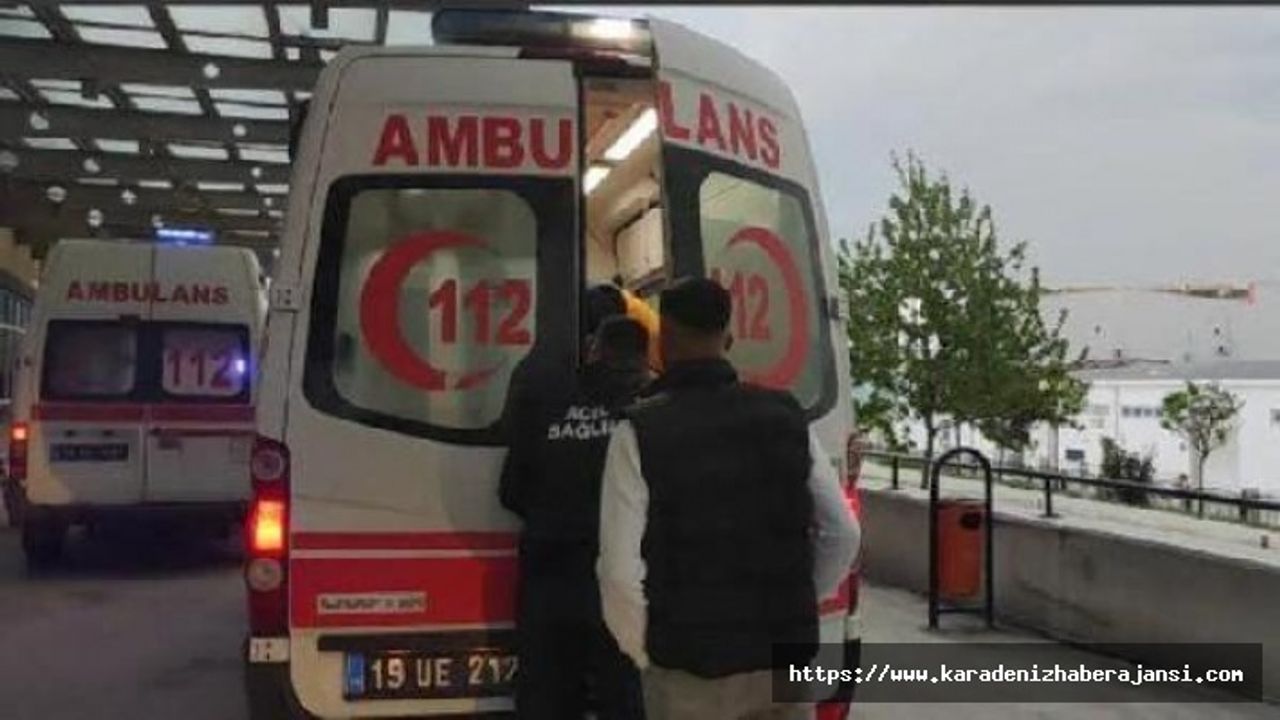 Kooperatif bekçisi, ağaçtan erik toplayan kişiyi vurdu