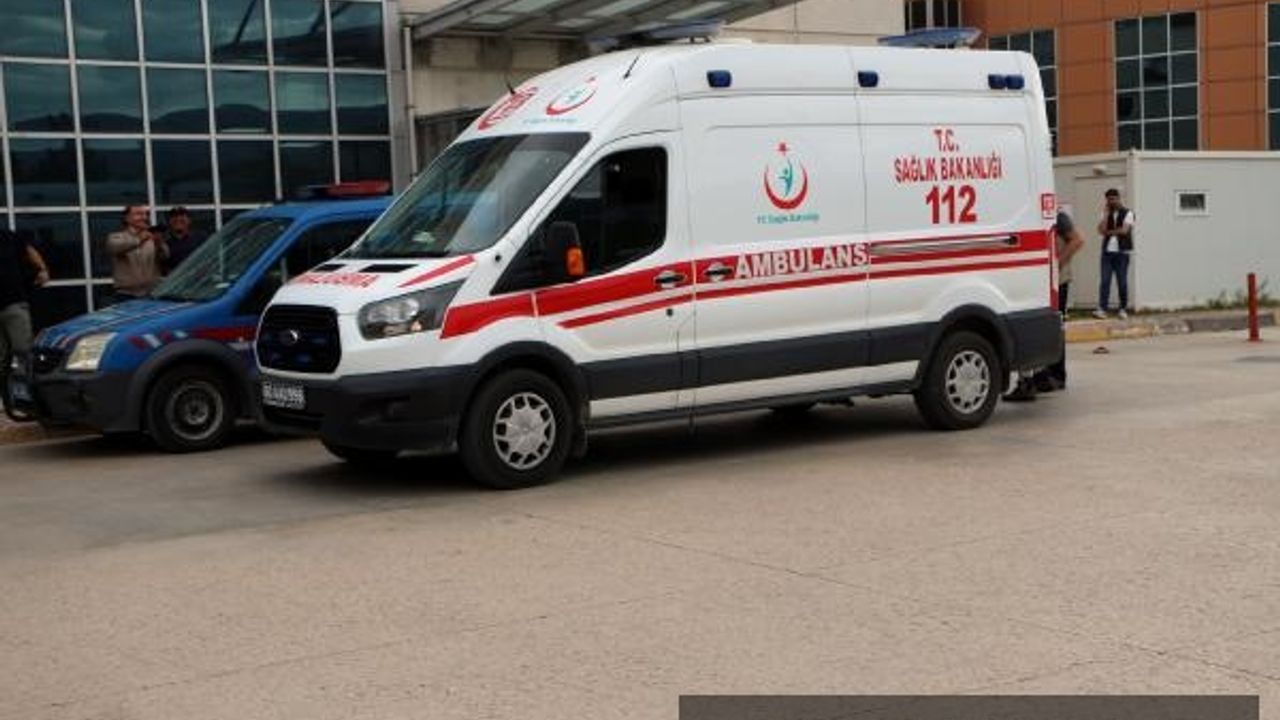 Tokat'ta ayı saldırısı 1 çocuk yaralı
