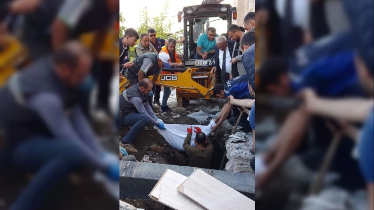 Yıkılan türbeden çıkarılan kemik parçaları inceleme için Hitit Üniversitesi'ne gönderildi