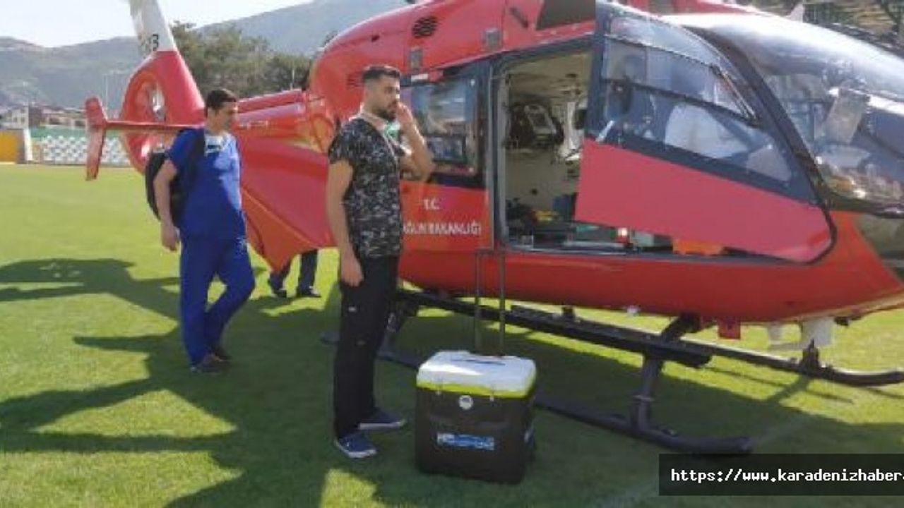 Beyin ölümü gerçekleşen hastanın organları umut oldu