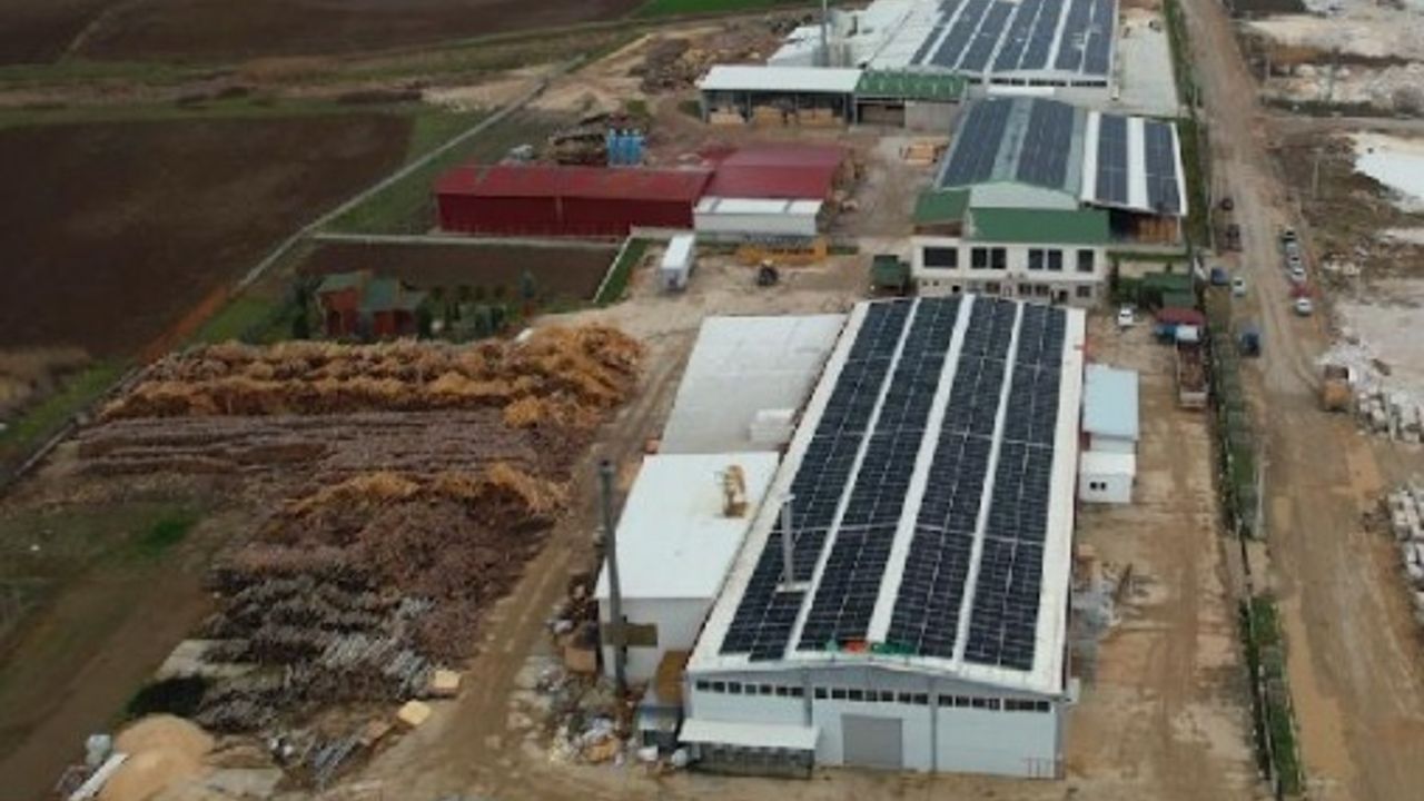 Ahşap fabrikası GES ile 3000 ağaç kurtardı