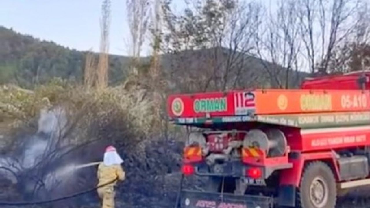 Kaynak yapılırken çıkan yargında 120 dönüm alan zarar gördü