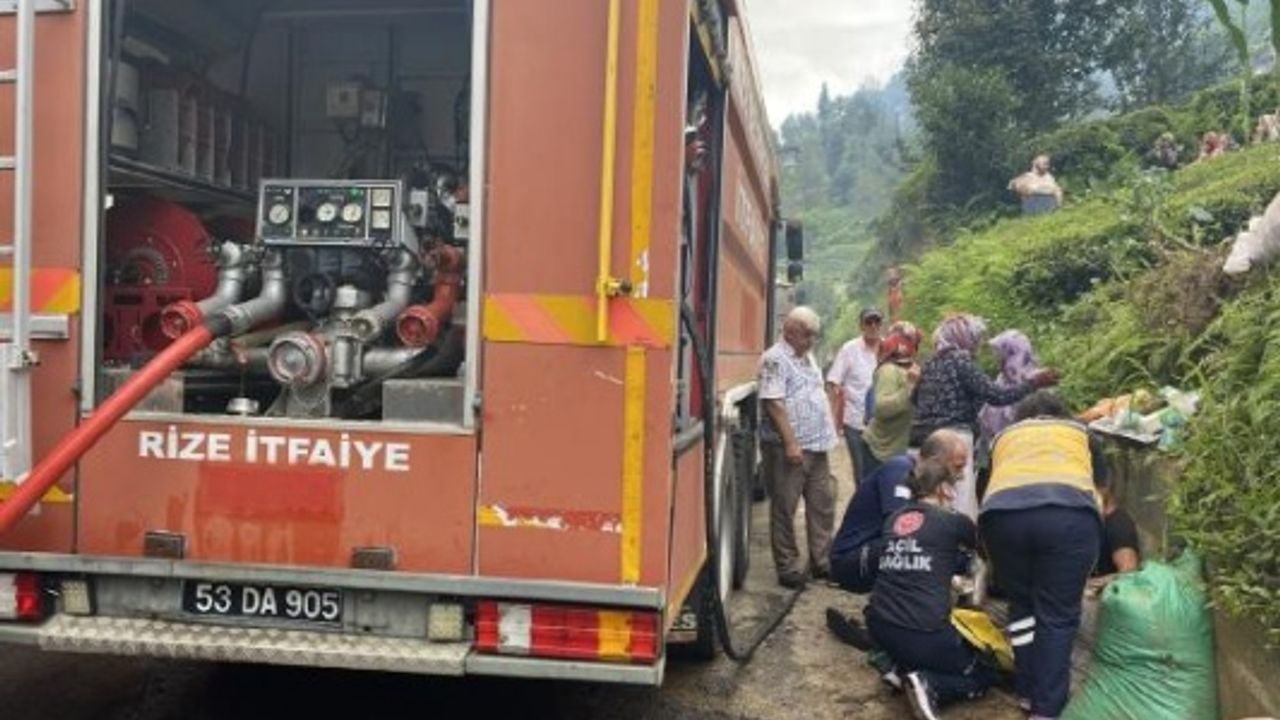 Rize'de, özel çay fabrikasında yangın