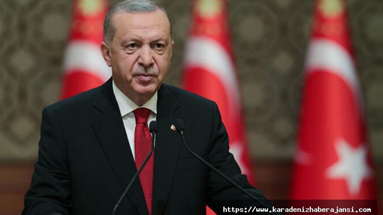Cumhurbaşkanı Erdoğan, Papa Fransuva ile görüştü