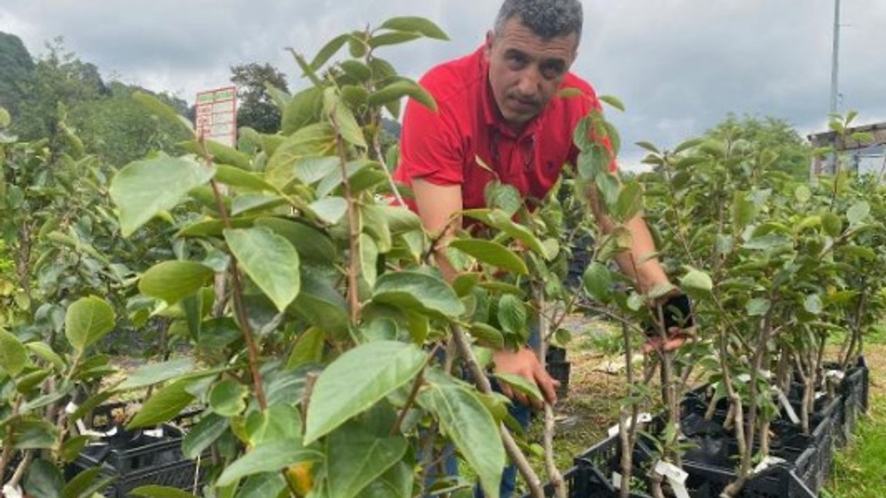 'Tohum gelecektir' dedi; 8 yılda 8,5 milyon üretti
