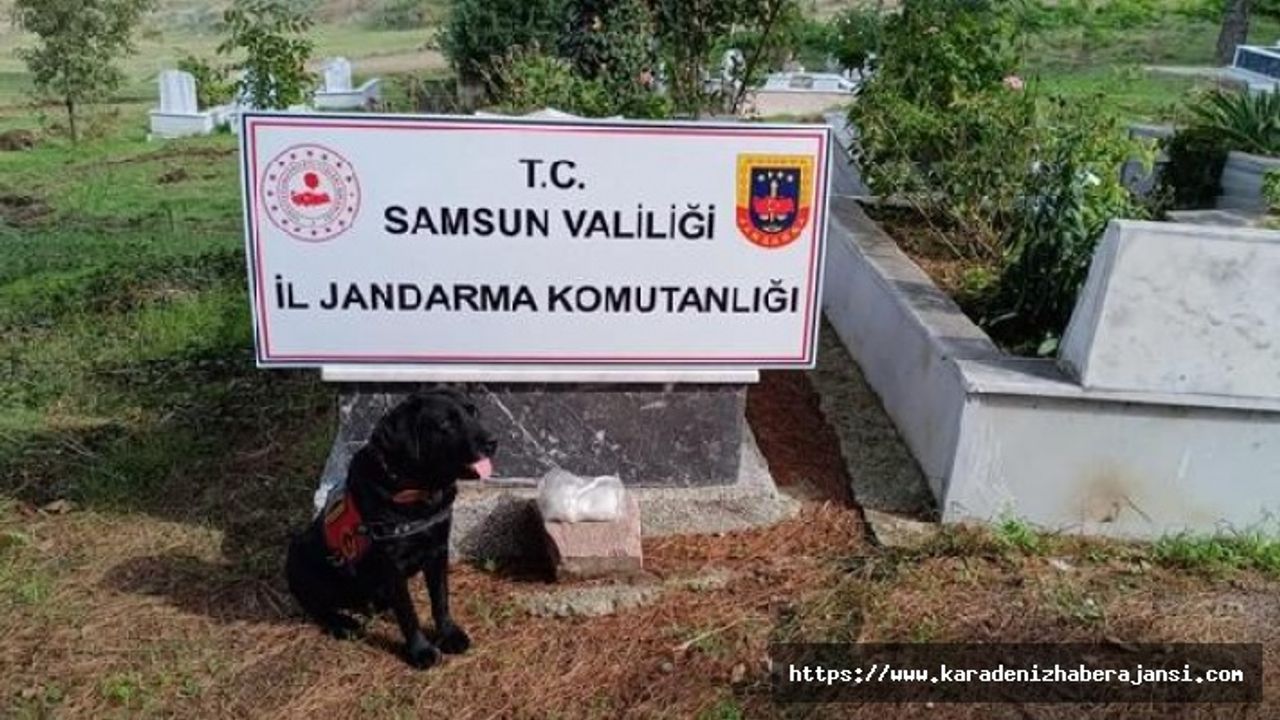 'Etkin pişmanlık’ için dedesinin kabrine uyuşturucu sakladığını itiraf eden sanığa 15 yıl hapis