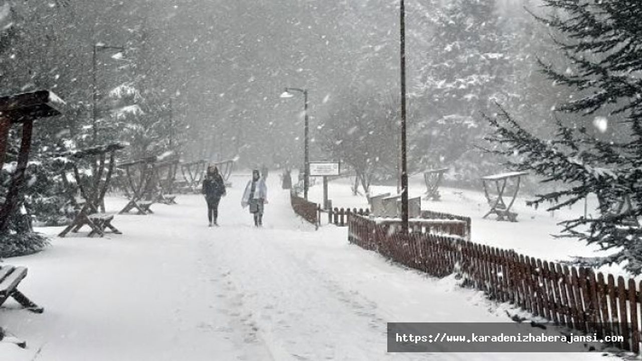 Gölcük ve Abant parklarında kar yağışı