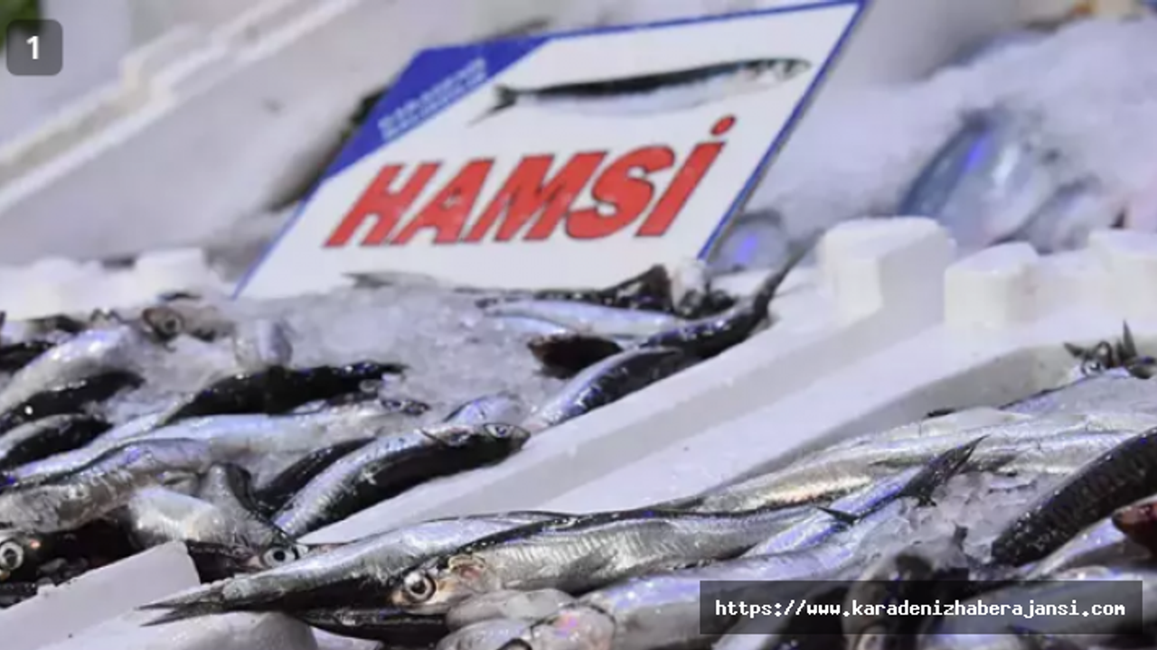 Hamside 'aşırı avcılık' ile yok olma tehlikesi
