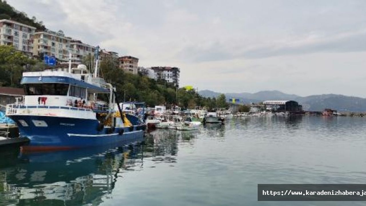 Prof. Dr. Aydın: Karadeniz’de balık stoklarımızda çöküş var