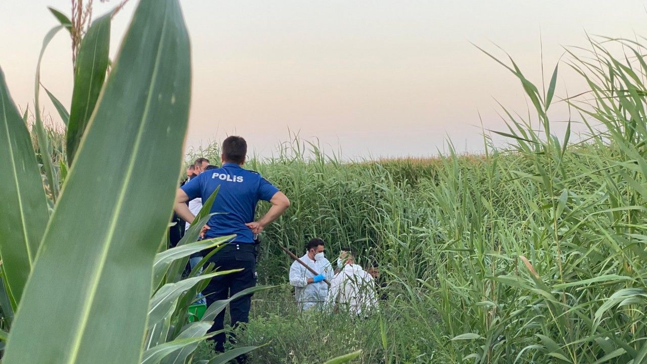 Adana'da, dere yatağında erkek cesedi bulundu
