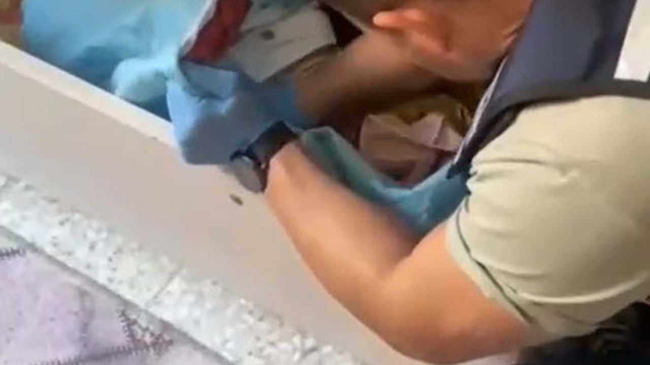 Aydın ve İzmir'de suç örgütü operasyonu: 4 tutuklama