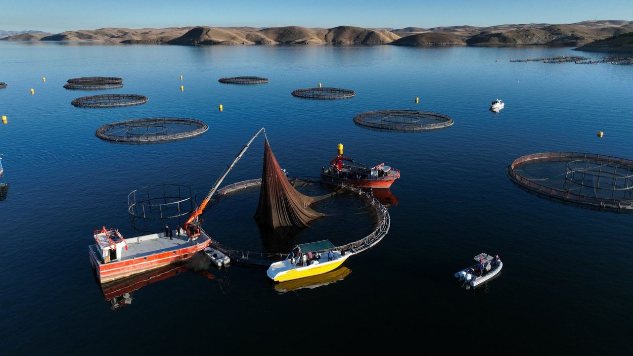 Bakan Yumaklı: Kovan varlığında 3'üncü sırada, bal üretiminde 2'nci sıradayız (3)