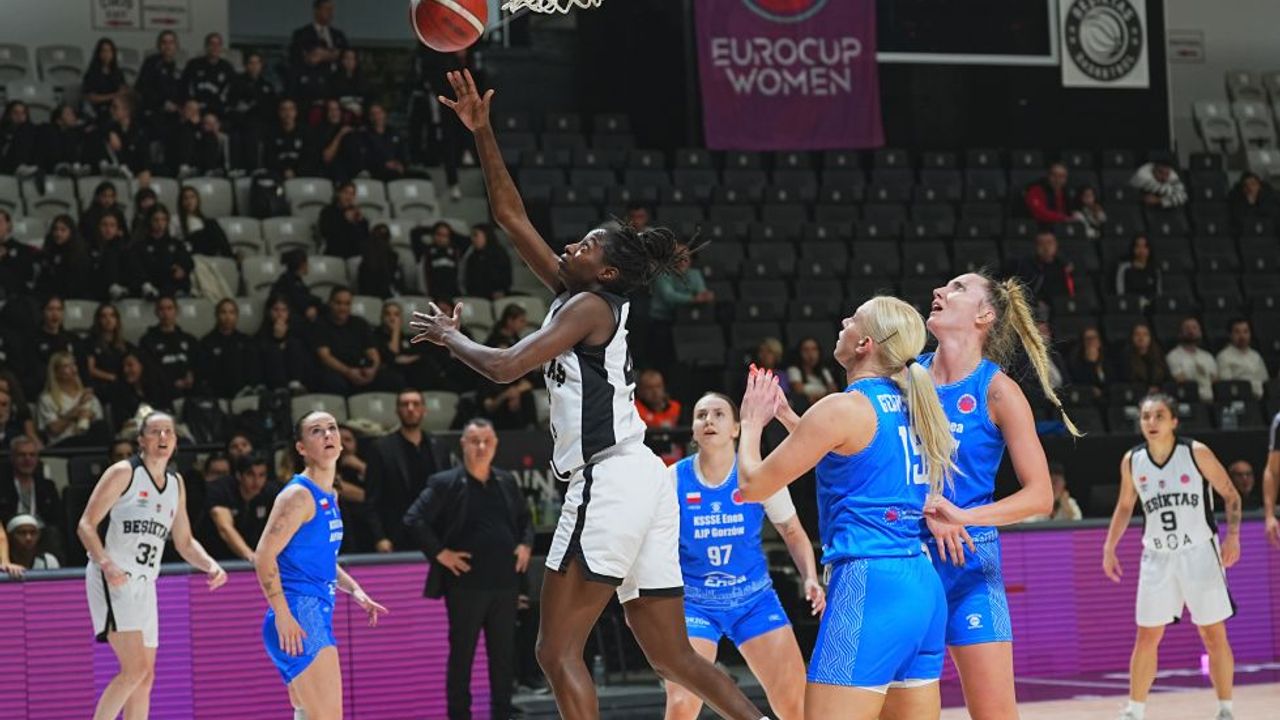 Beşiktaş BOA - Enea Gorzow: 100-70