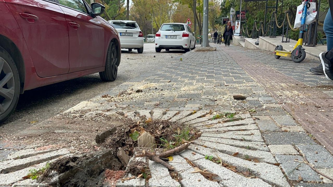 Bursa'da lodos etkili oldu; ağaçlar devrildi, çatılar uçtu