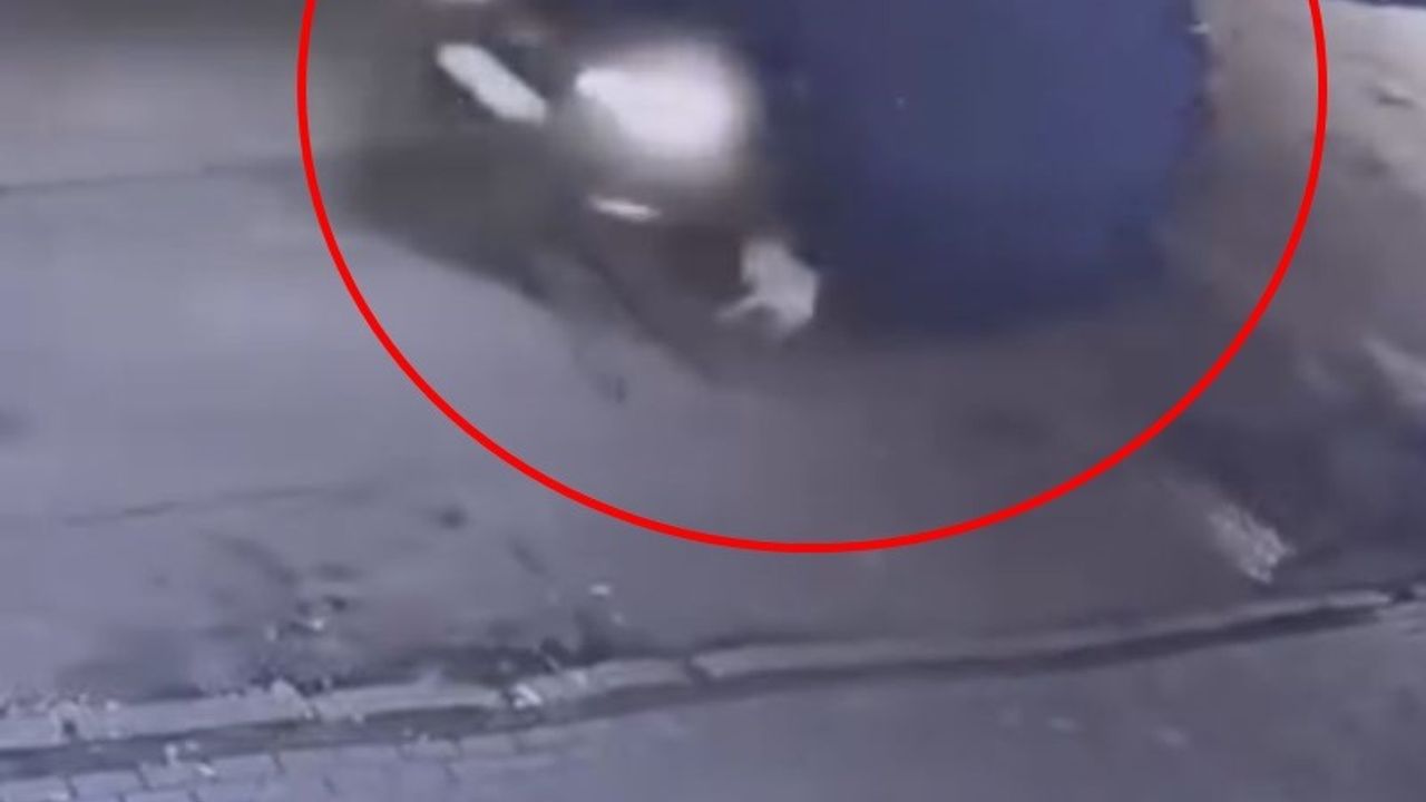 Cipiyle, sahibinin gezdirmeye çıkardığı köpeğe çarpıp kaçtı; o anlar kamerada