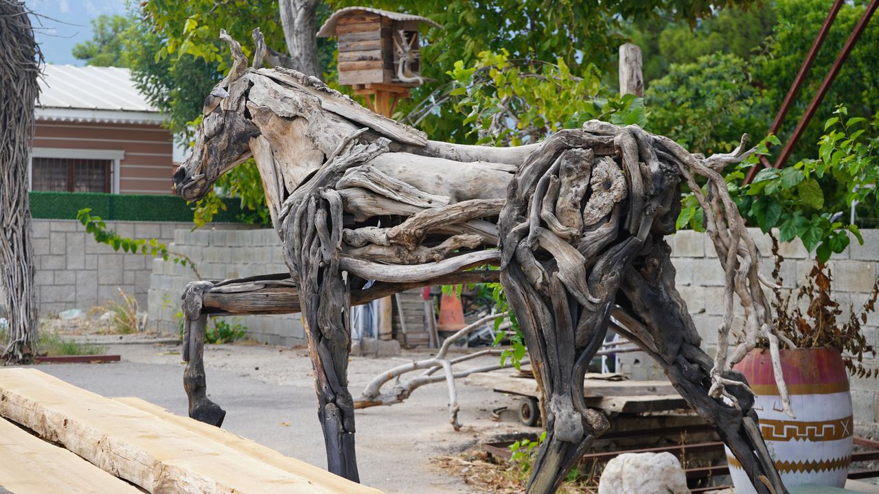 Doğanın atıklarını sanata dönüştürüyor