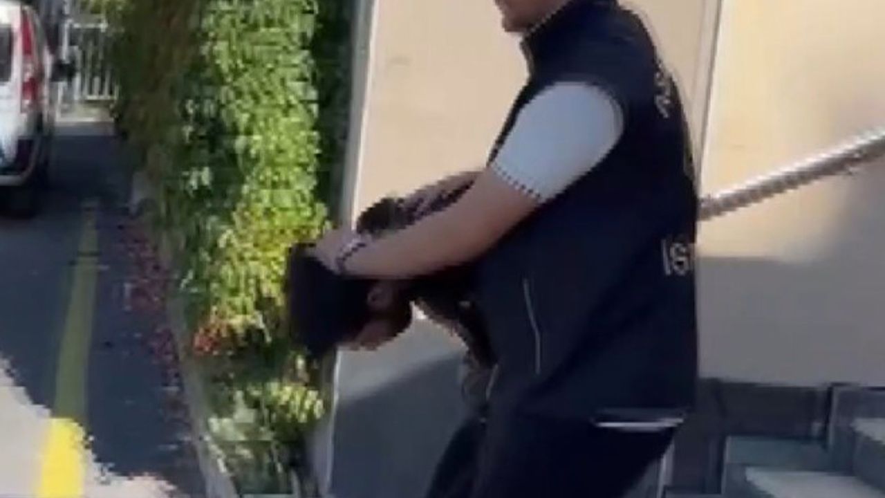 İstanbul- Fatih'te iş yerindeki kasayı açamayınca taşıyarak çaldılar