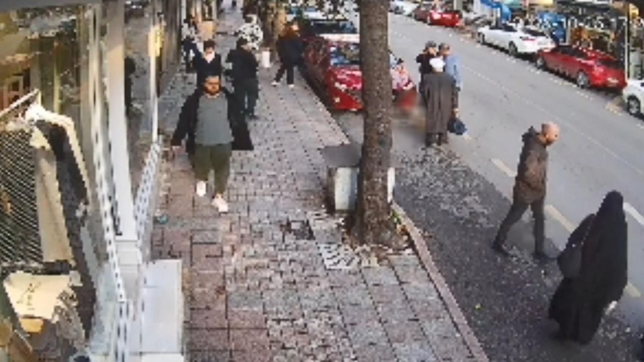 İstanbul - Fatih'te otomobilin ezdigi köpek Kuki öldü; o anlar kamerada