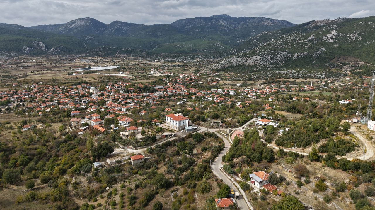 Köylü kadınlardan Avrupa'ya 1 milyon Noel çelengi