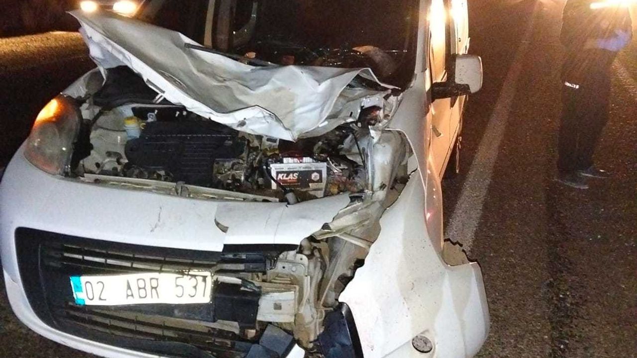Malatya'da hafif ticari aracın çarptığı yaya öldü