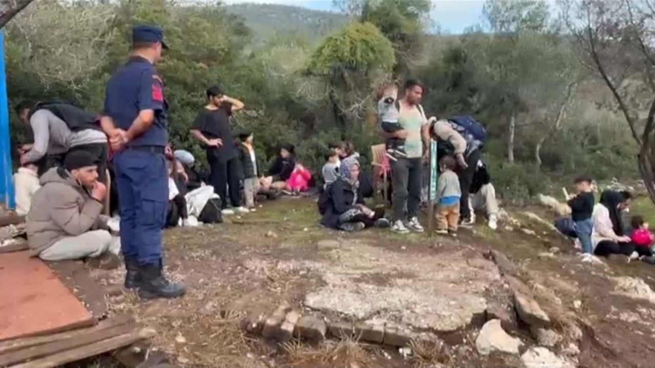 Milas'ta 74 kaçak göçmen yakalandı