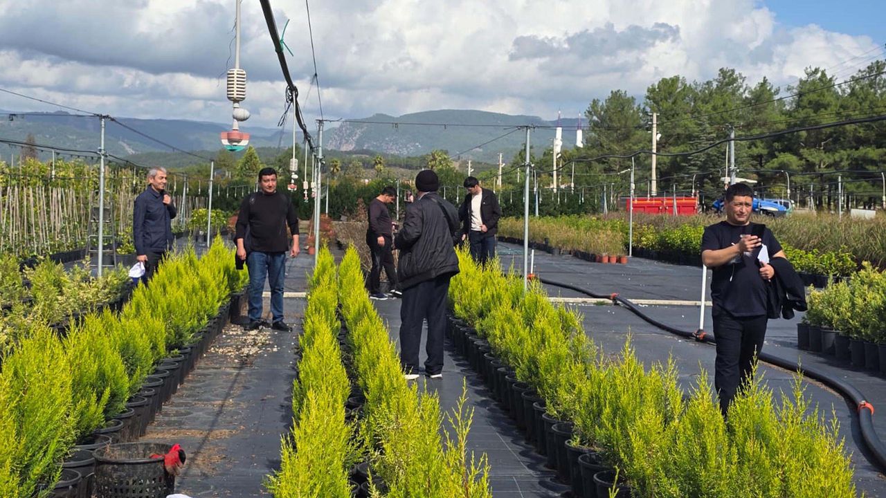 Muğla'da Özbek ormancılardan teknik inceleme