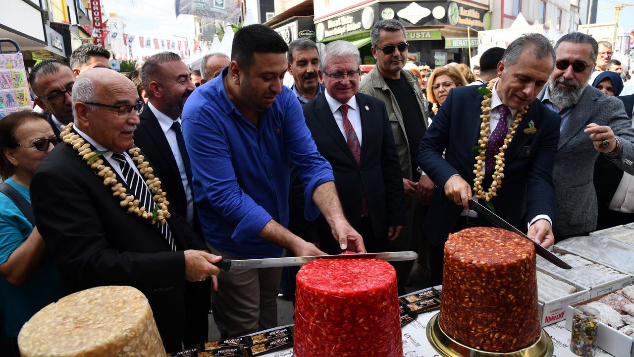 Osmaniye'de 'Yer Fıstığı Festivali' başladı
