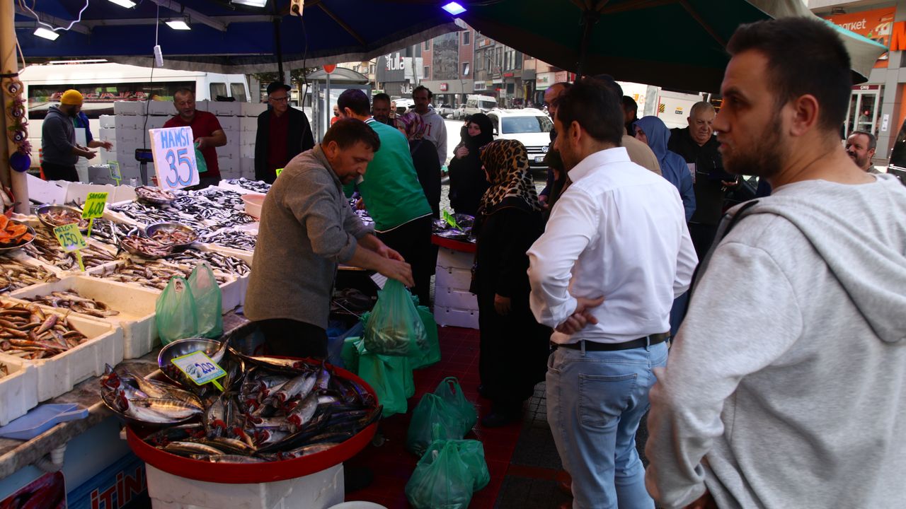 Rize'de hamsi bereketi; kilosu 35 liraya düştü