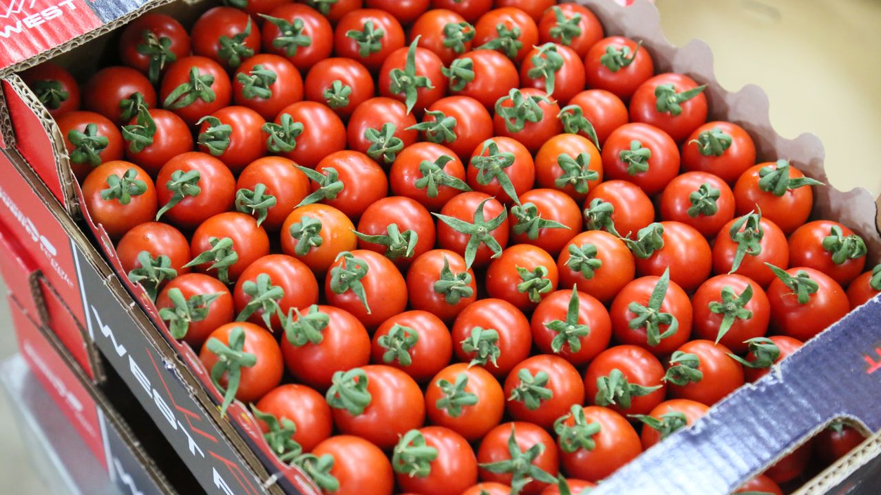 Ukrayna'nın 'domates' ve 'dikenli salatalık' kararı için çözüm çağrısı