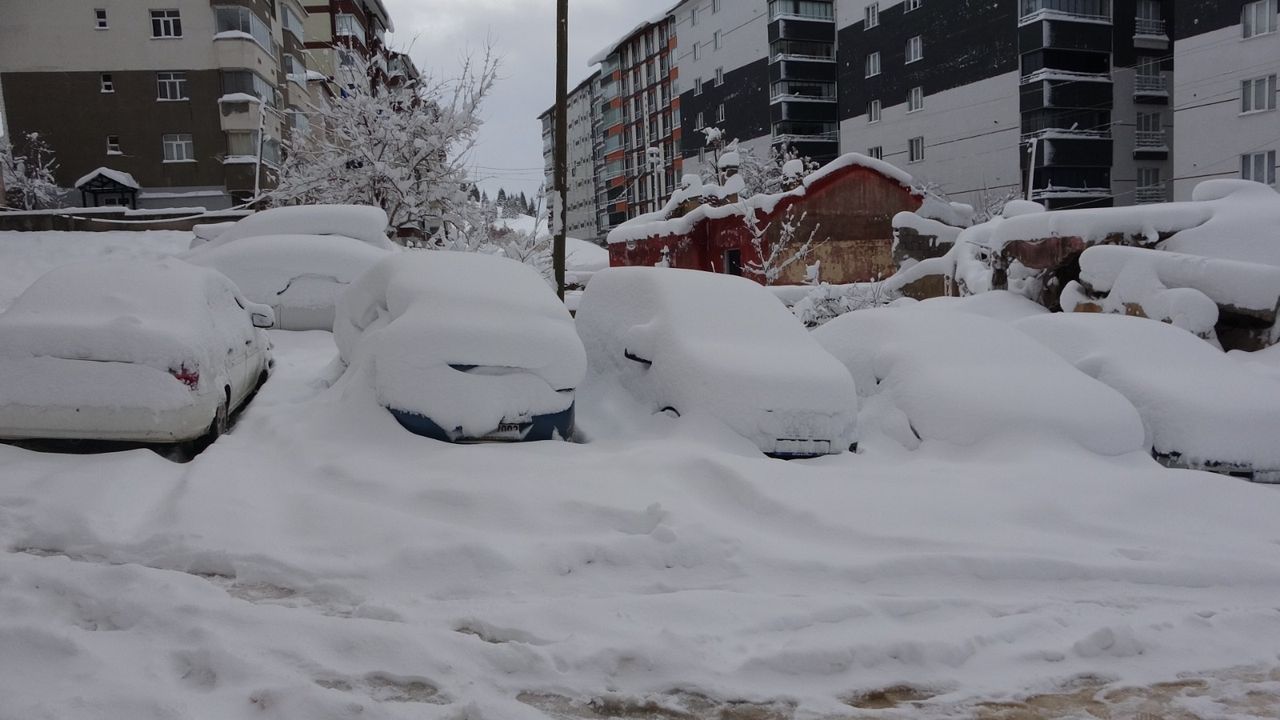 Bitlis'te 203 köy yolu açıldı