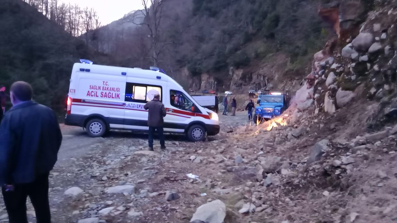 Rize'de kamyonet dereye yatağına düştü: 2 yaralı