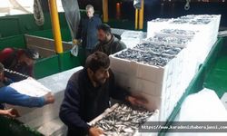 Cide'de denize açılan balıkçılar 5 bin kasa hamsi ile döndü