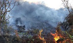 Karadeniz'de kuraklık etkisi; orman yangınlarında artış tehlikesi