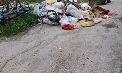 Çorum Belediyesi bir evden 5 kamyon çöp çıkardı