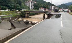 Artvin’de taşkın ve heyelanlara neden olan yağışta yol çöktü (3)