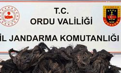 Ordu'da kablo hırsızlığına 3 tutuklama