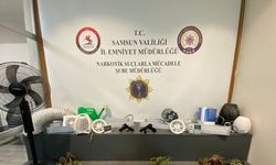 Samsun'da uyuşturucuya 3 gözaltı; özel odada kenevir yetiştirmiş