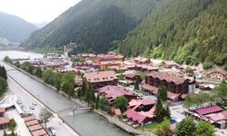 Uzungöl'de denetimler sıklaştı; eksik belgeli 169 turizm tesisinden 70'i mühürlendi