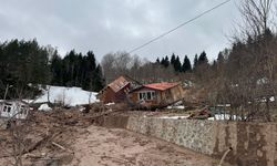 Artvin’de heyelan; ahşap ev çatısının üzerine devrildi / Ek fotoğraflar