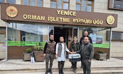 Karabük’te ormanda bulunan yavru bozayı koruma altına alındı