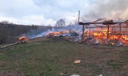 Kastamonu'da korkutan yangın: 3 ev, 6 ahır, 9 samanlık ve 2 ambar kullanılamaz hale geldi