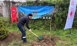 Ordu’da fidanlar toprakla buluşturuldu