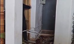 Aç kalan ayılar, belediye başkanının yayla evine girdi