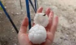 Adana'da dolu yağışı; tarım arazileri zarar gördü