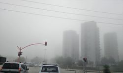 Adana'da sis etkili oldu