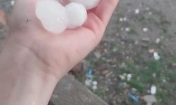 Adana'da tarım arazilerinde dolu zararı; üreticiler destek istiyor