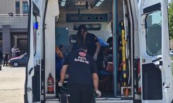 Ağaçtan düşen yaralı, ambulans helikopterle sevk edildi
